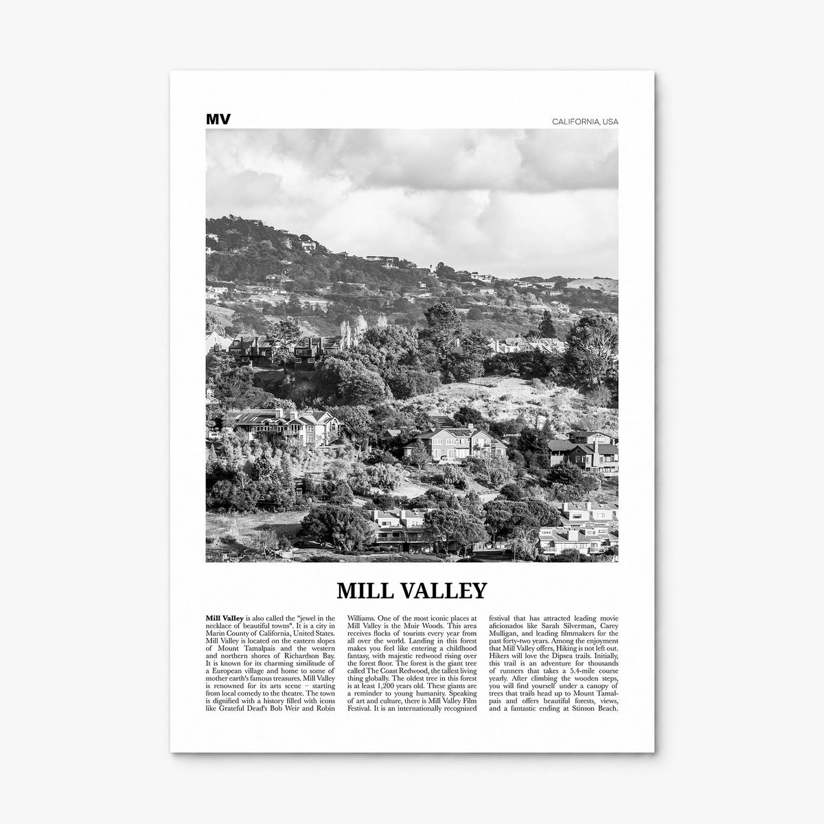 Mill Valley Newspaper Poster, print only (unframed)