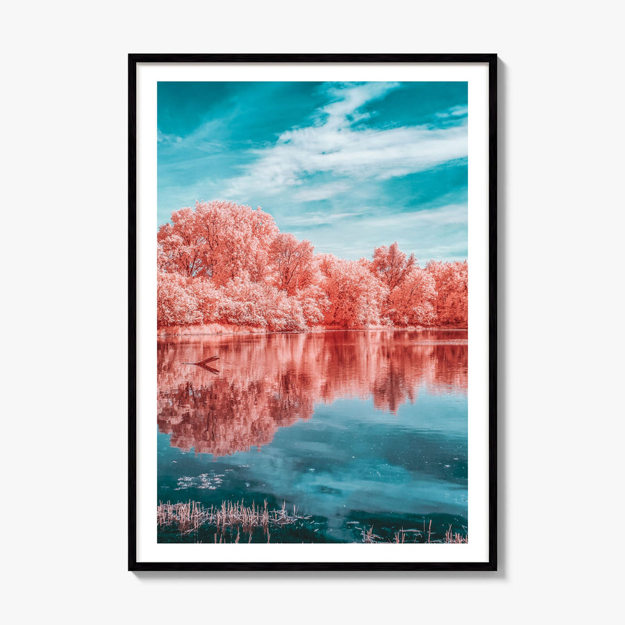 Minnesota Photo No 3 Poster, framed poster mockup, white border