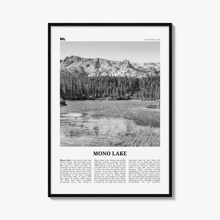 Mono Lake black & white newspaper poster of California, USA – vertical wall art, unframed print shown in interior mockup