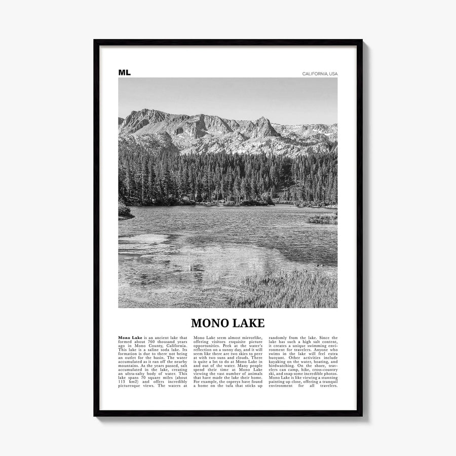 Mono Lake Newspaper Poster, framed poster mockup