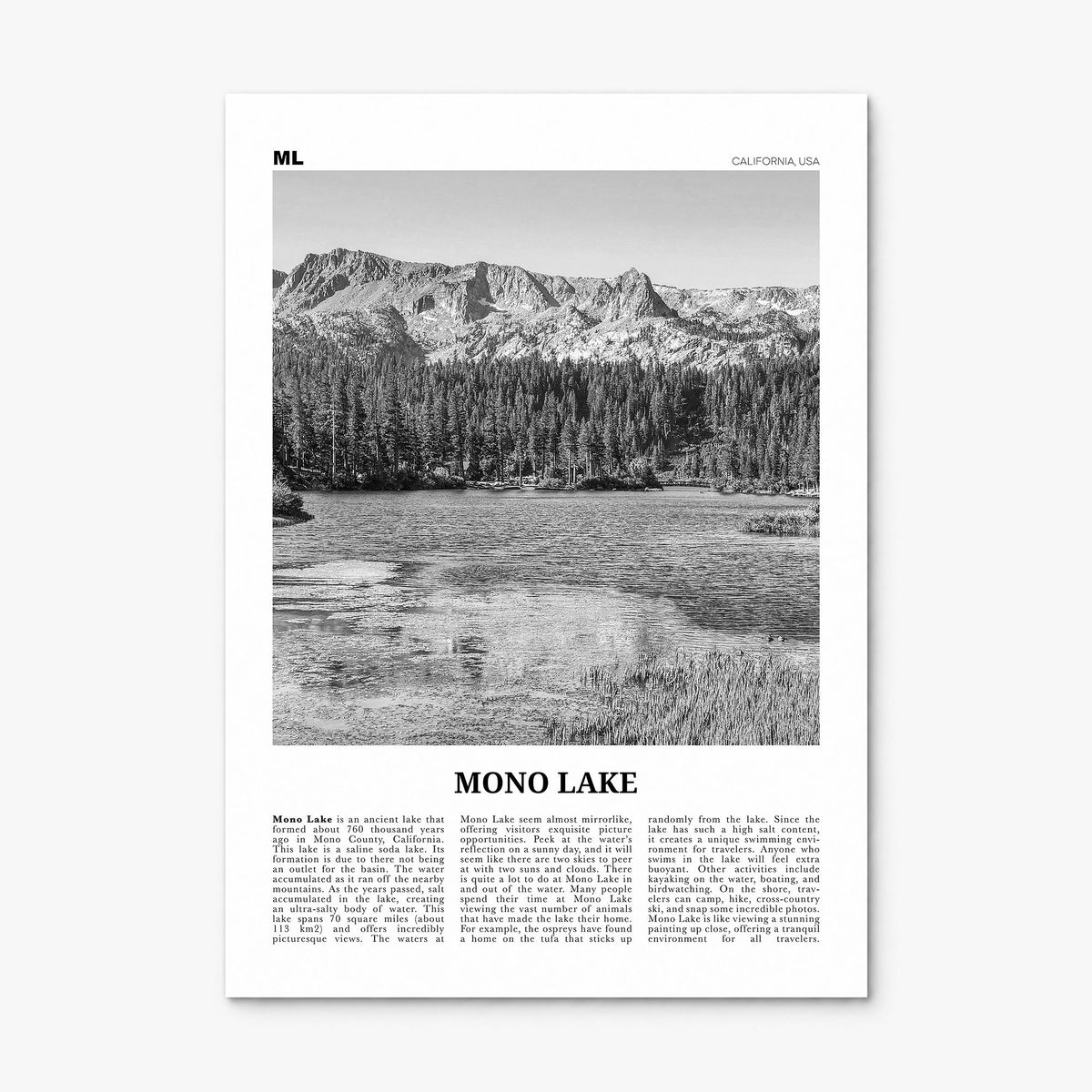 Mono Lake Newspaper Poster, print only (unframed)
