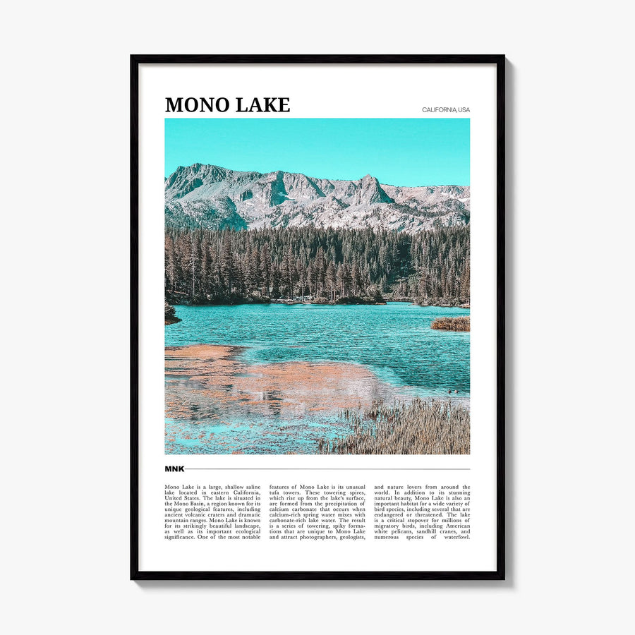 Mono Lake Travel Poster, framed poster mockup