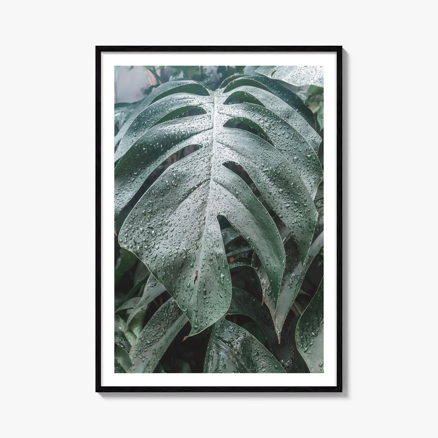 Monstera Leaf colorful photo poster – vertical wall art, unframed print shown in interior mockup