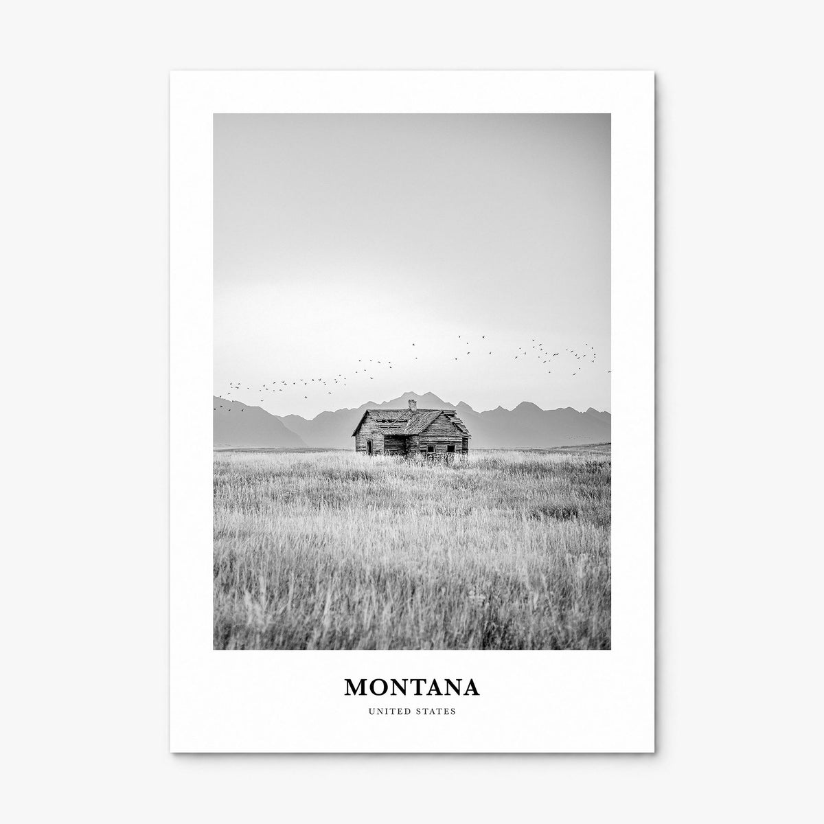 Montana Classic No 1 Poster, print only (unframed)