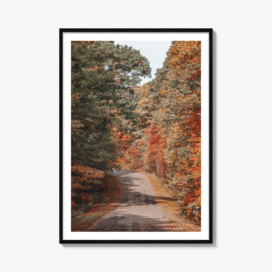 Morgantown colorful photo poster of West Virginia, USA – vertical wall art, unframed print shown in interior mockup