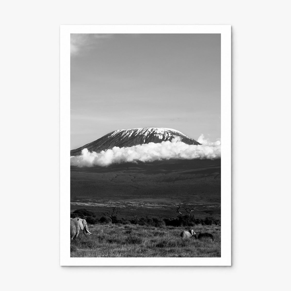 Mount Kilimanjaro Photo Poster, print only (unframed), white border