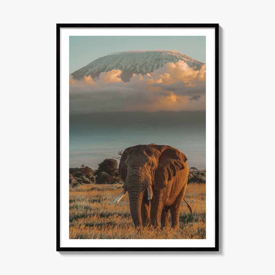 Mount Kilimanjaro Photo No 2 Poster, framed poster mockup, white border