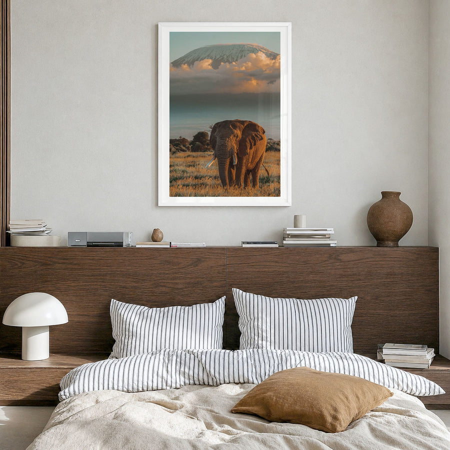 Mount Kilimanjaro Photo No 2 Poster in a white wood frame, hanging in a bedroom, white border