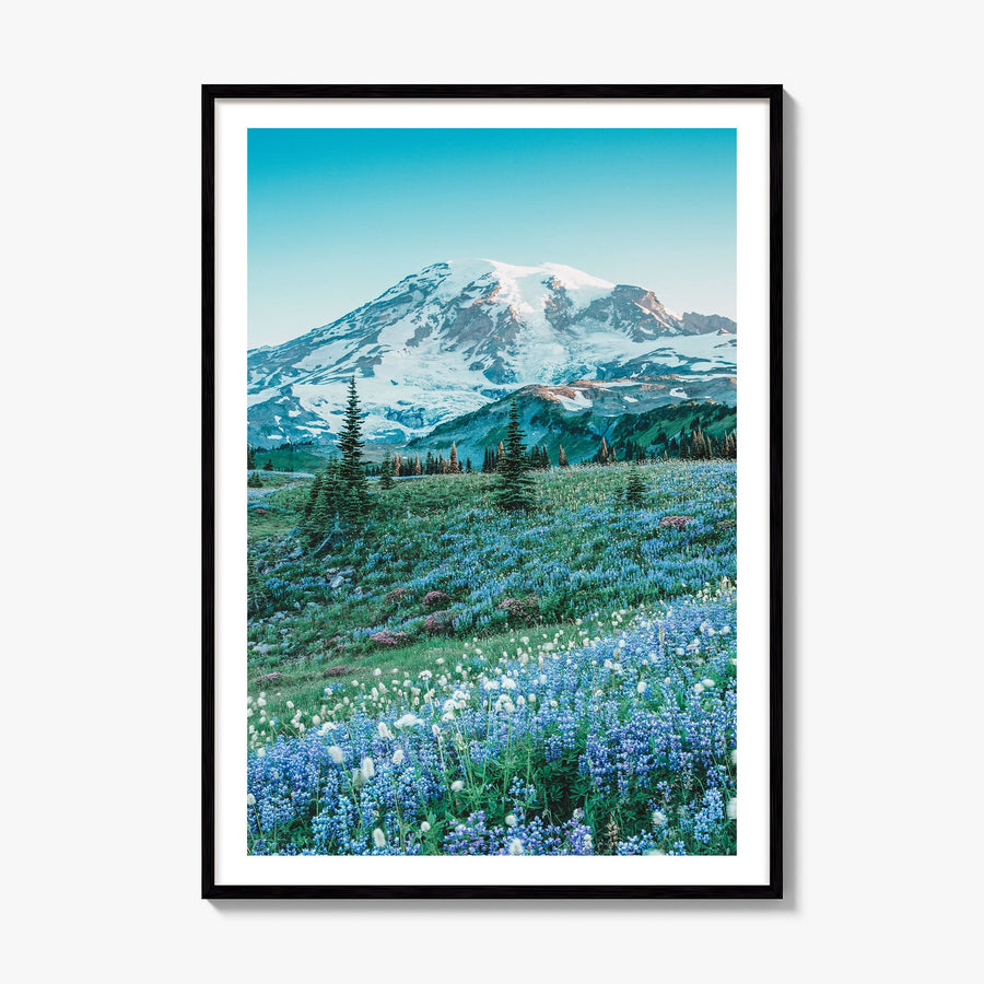 Mount Rainier Photo No 3 Poster, framed poster mockup, white border