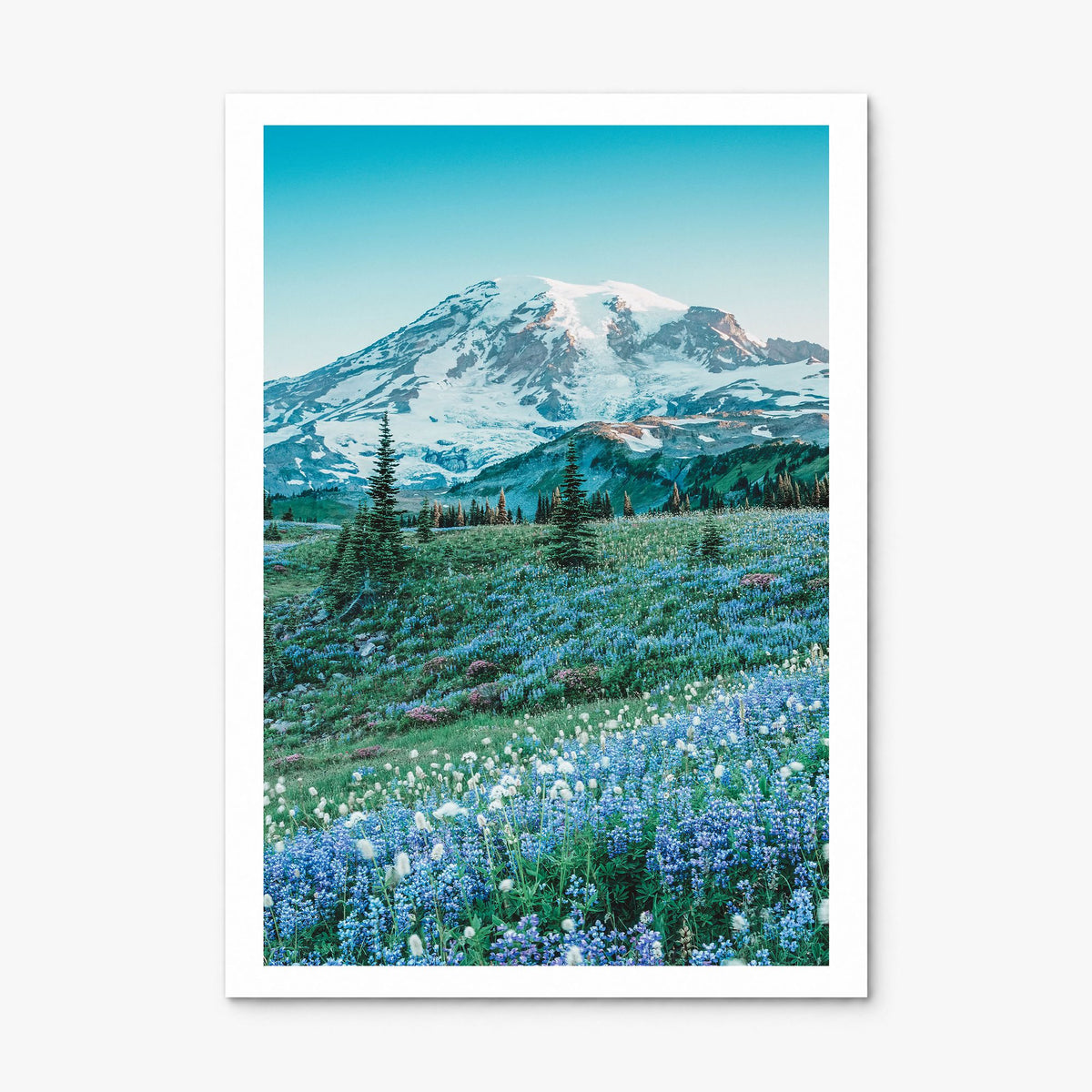 Mount Rainier Photo No 3 Poster, print only (unframed), white border