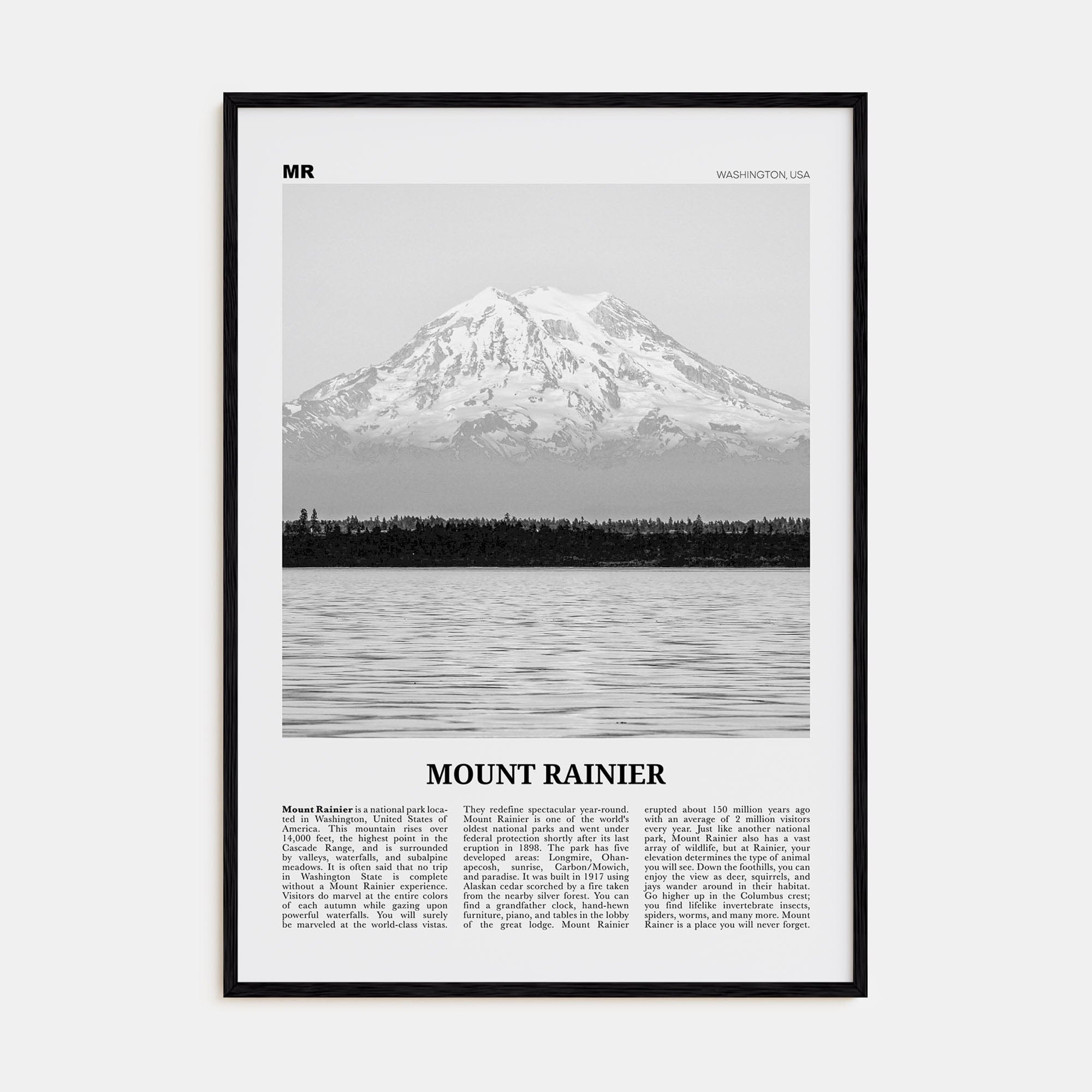 Mount Rainier Poster Black Wood / 8x12 in Nbourhood Travel B&W Poster