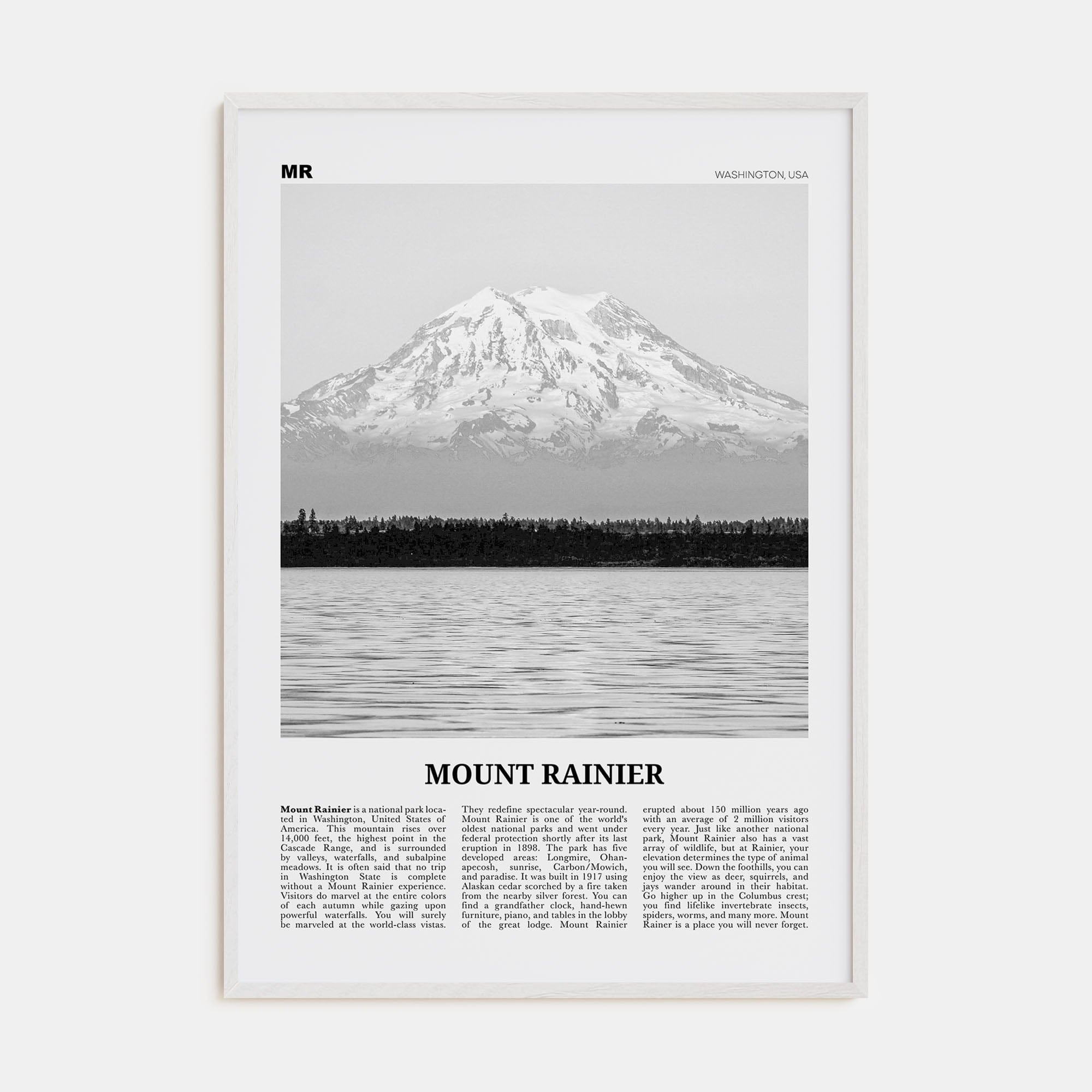 Mount Rainier Poster White Wood / 8x12 in Nbourhood Travel B&W Poster