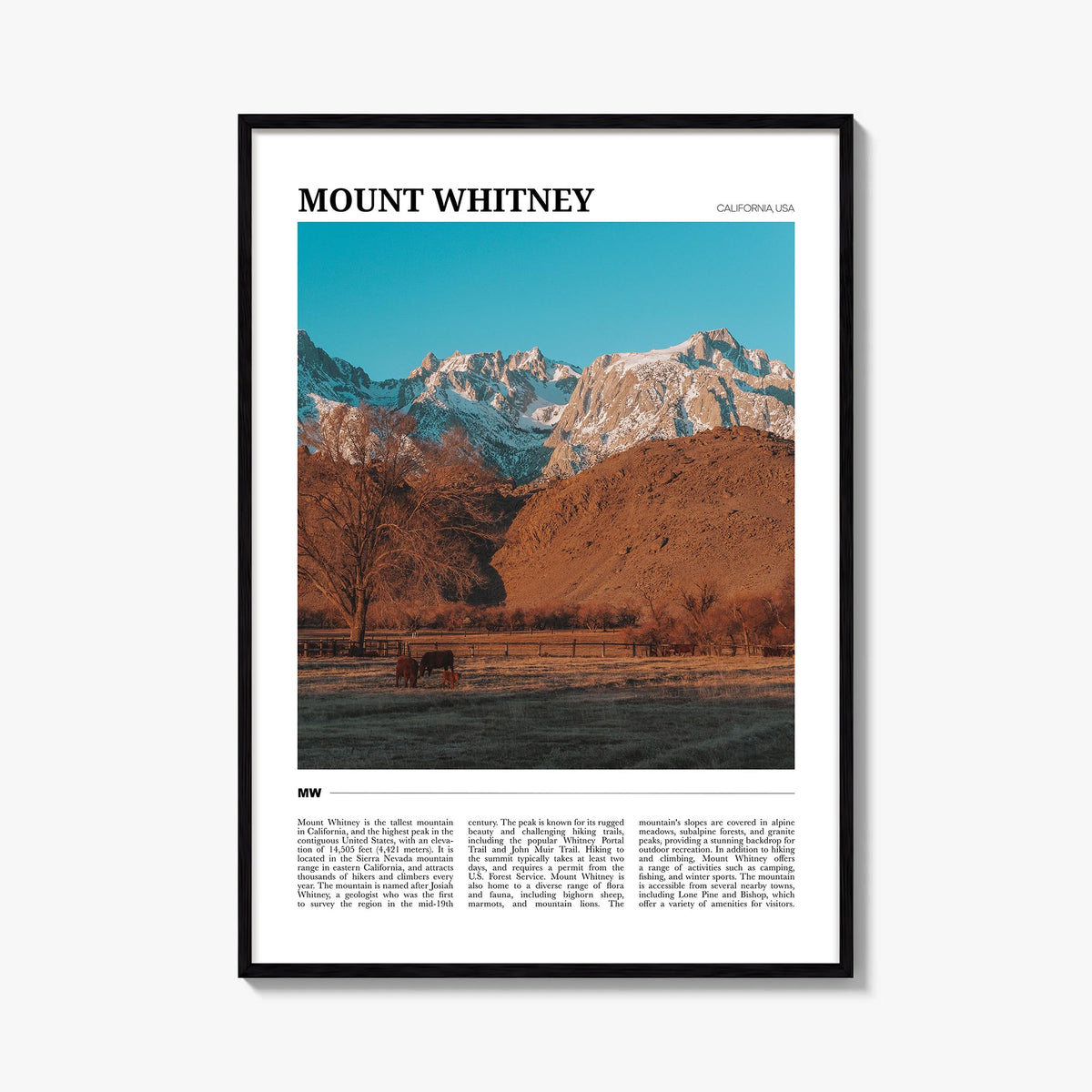 Mount Whitney colorful travel poster of California, USA – vertical wall art, unframed print shown in interior mockup