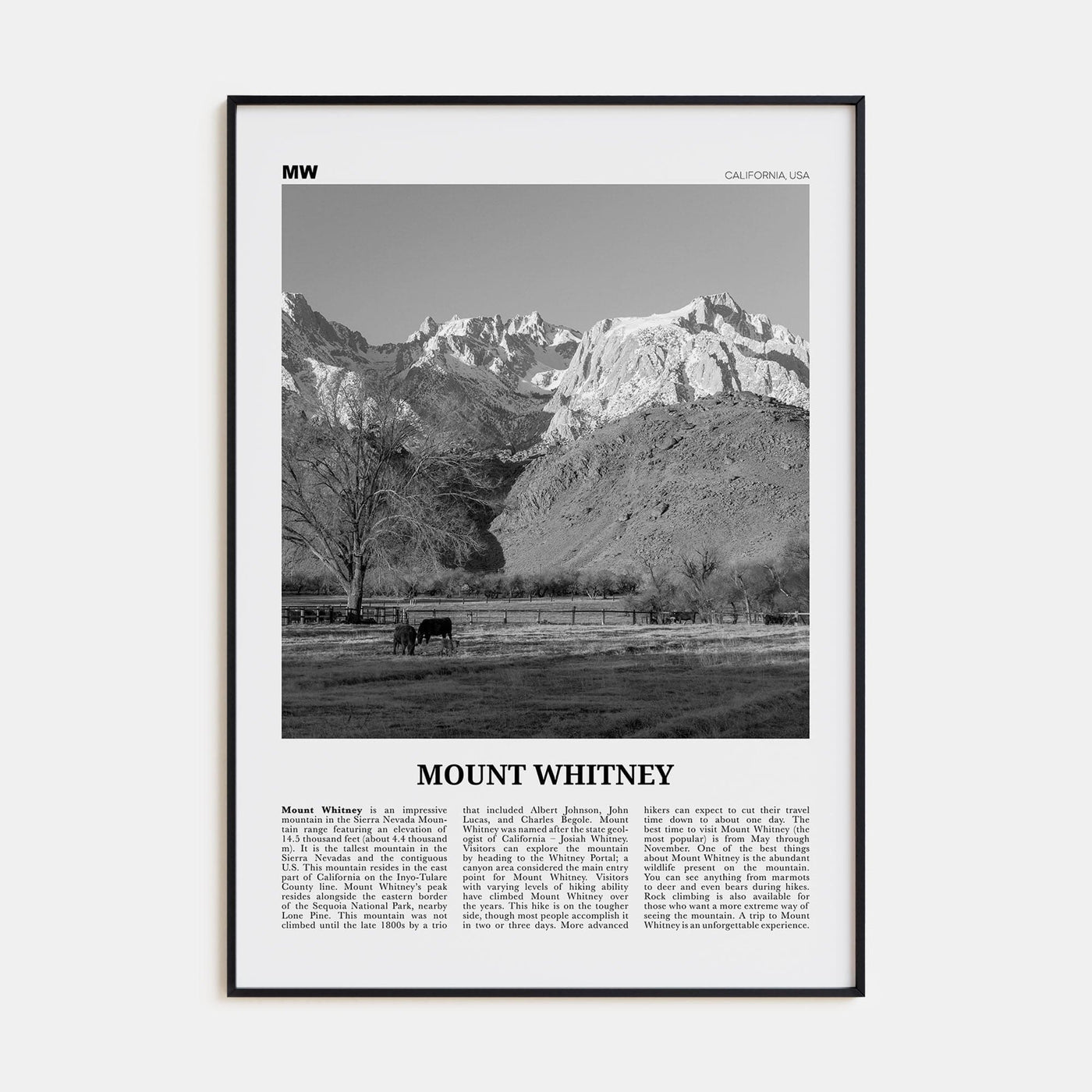 Mount Whitney Poster None / 8x12 in Nbourhood Travel B&W Poster