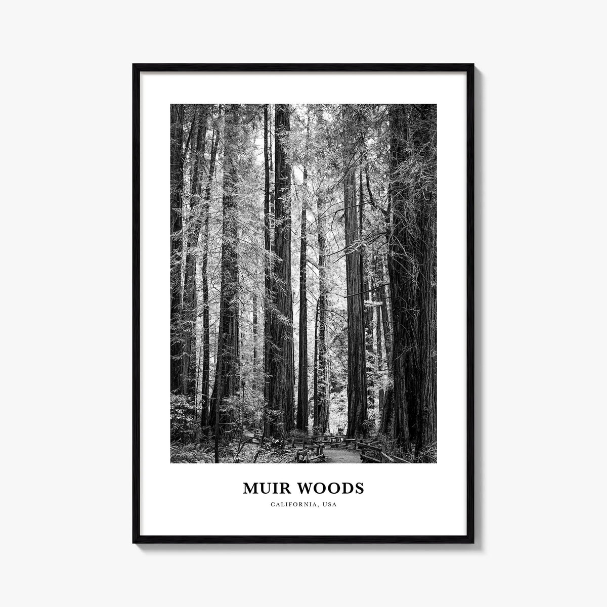 Muir Woods National Monument black & white classic poster of California, USA – vertical wall art, unframed print shown in int