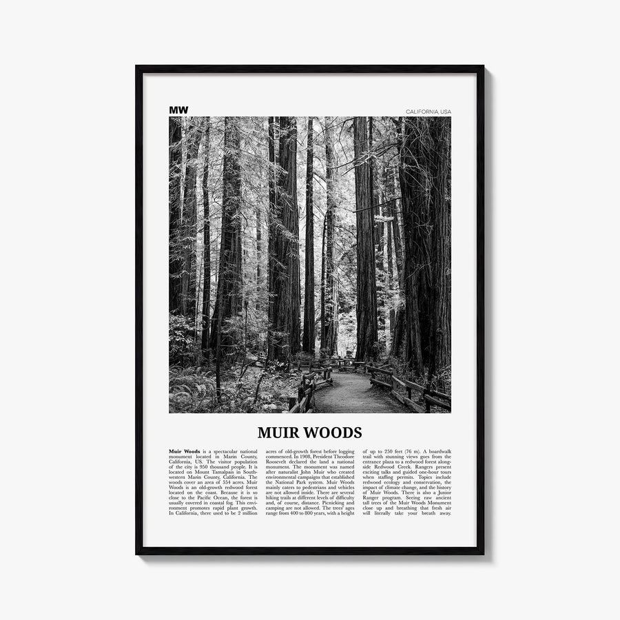 Muir Woods National Monument black & white newspaper poster of California, USA – vertical wall art, unframed print shown in i