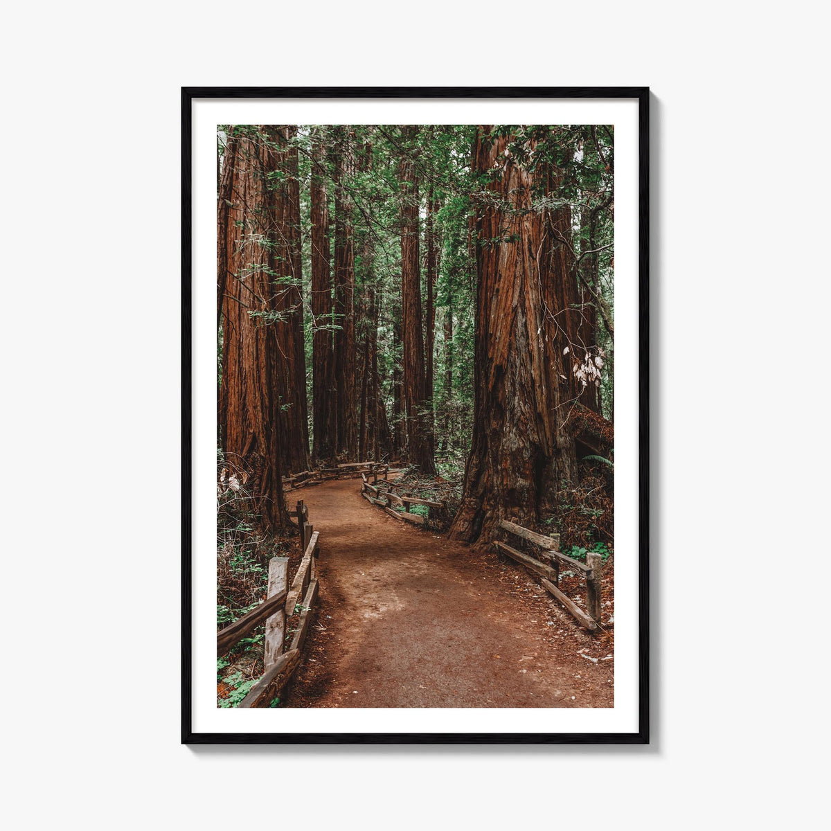 Muir Woods National Monument colorful photo poster of California, USA – vertical wall art, unframed print shown in interior m