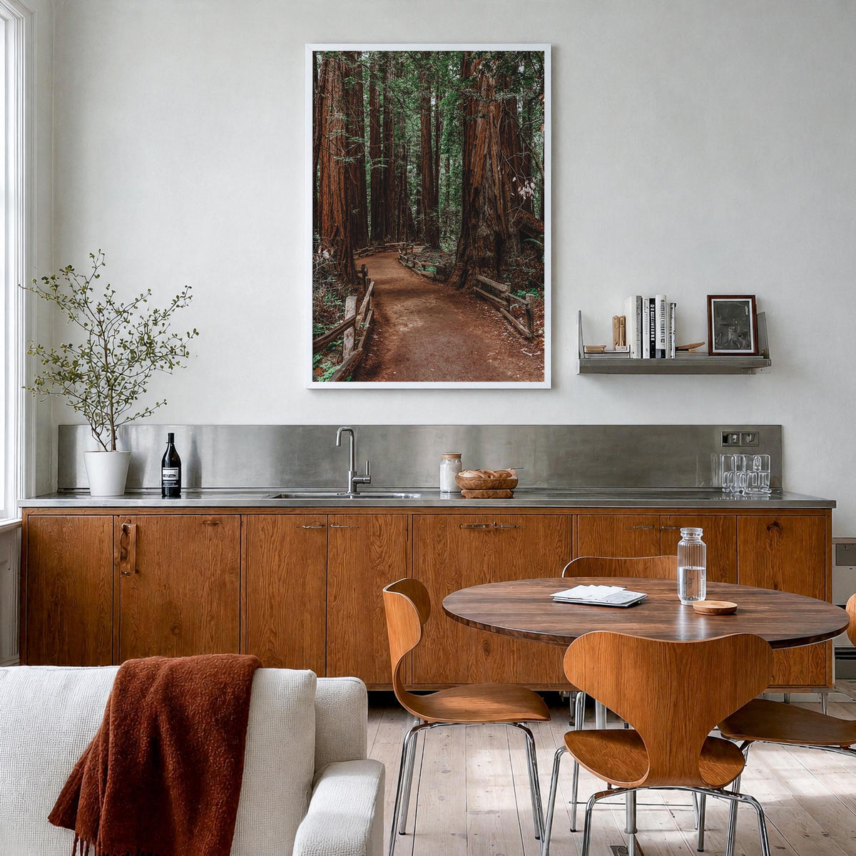 Muir Woods National Monument colorful photo poster of California, USA – vertical wall art in white wood frame, hanging on wal
