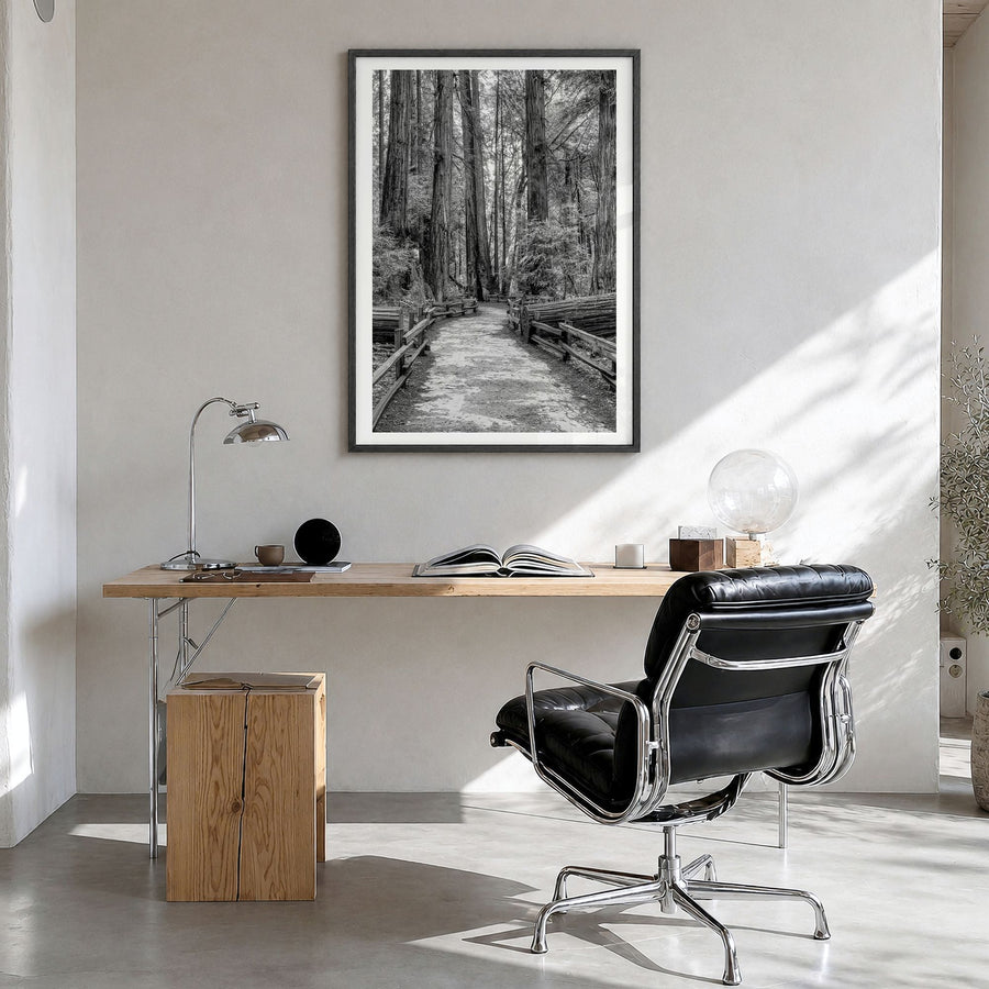 Muir Woods National Monument Photo Poster in a black wood frame, hanging in a bright home office, white border