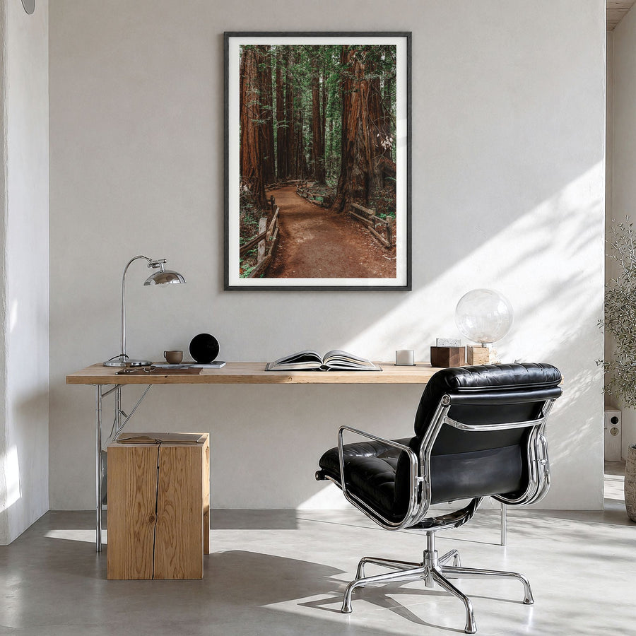 Muir Woods National Monument Photo Poster in a black wood frame, hanging in a bright home office, white border