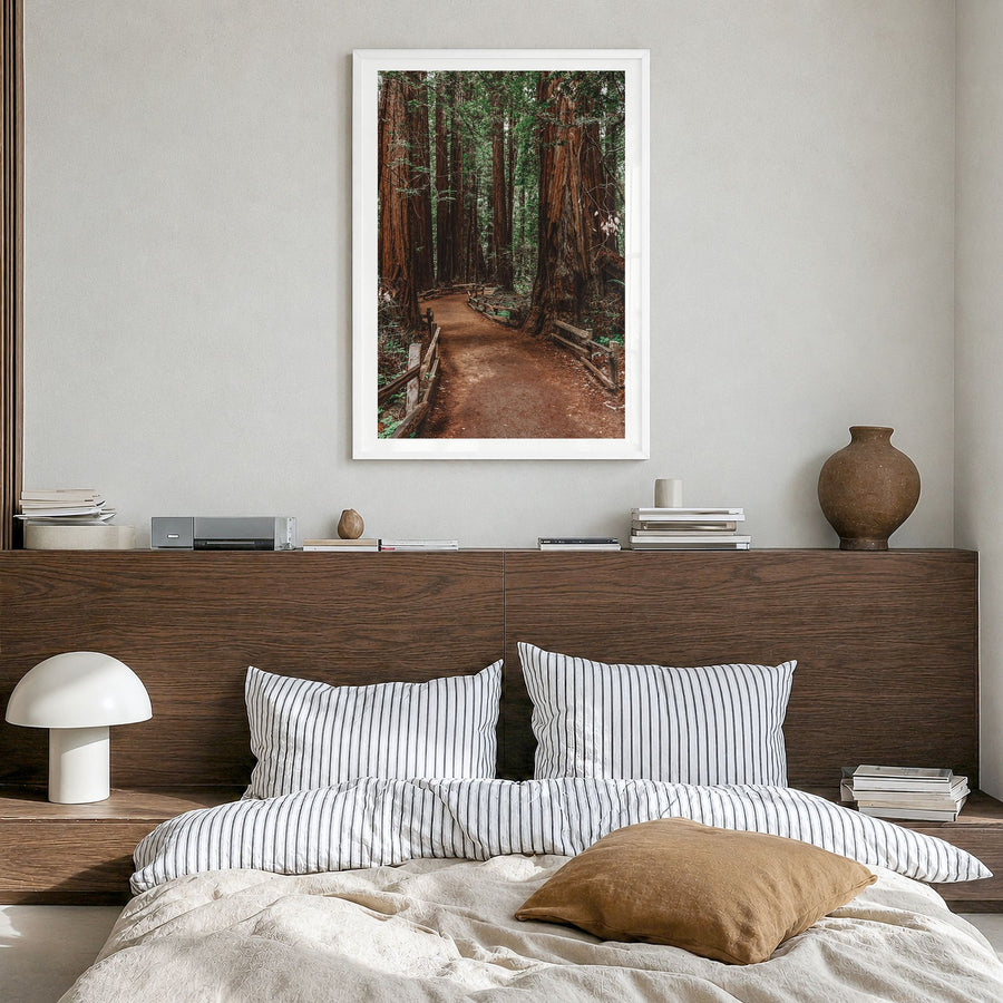 Muir Woods National Monument Photo Poster in a white wood frame, hanging in a bedroom, white border