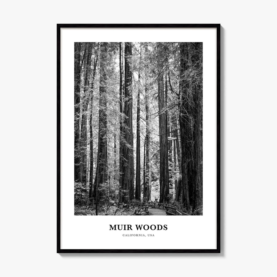Muir Woods National Monument Classic Poster, framed poster mockup