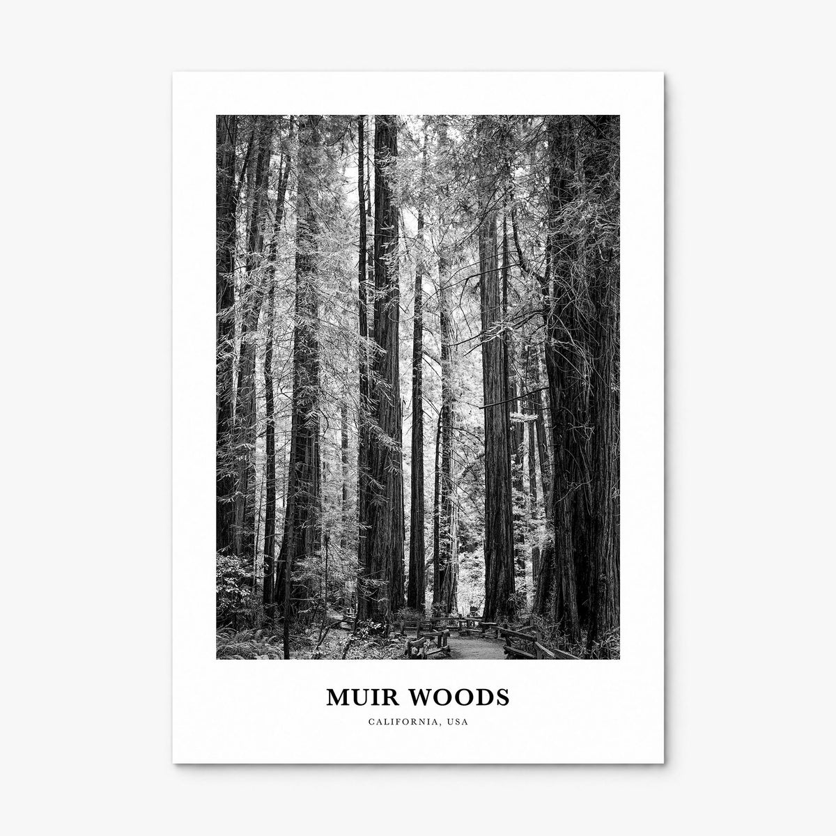 Muir Woods National Monument Classic Poster, print only (unframed)