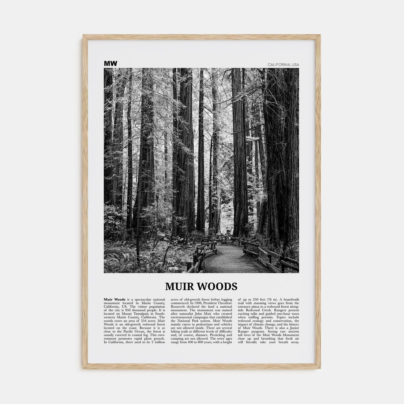 Muir Woods National Monument Poster Natural Wood / 8x12 in Nbourhood Travel B&W Poster