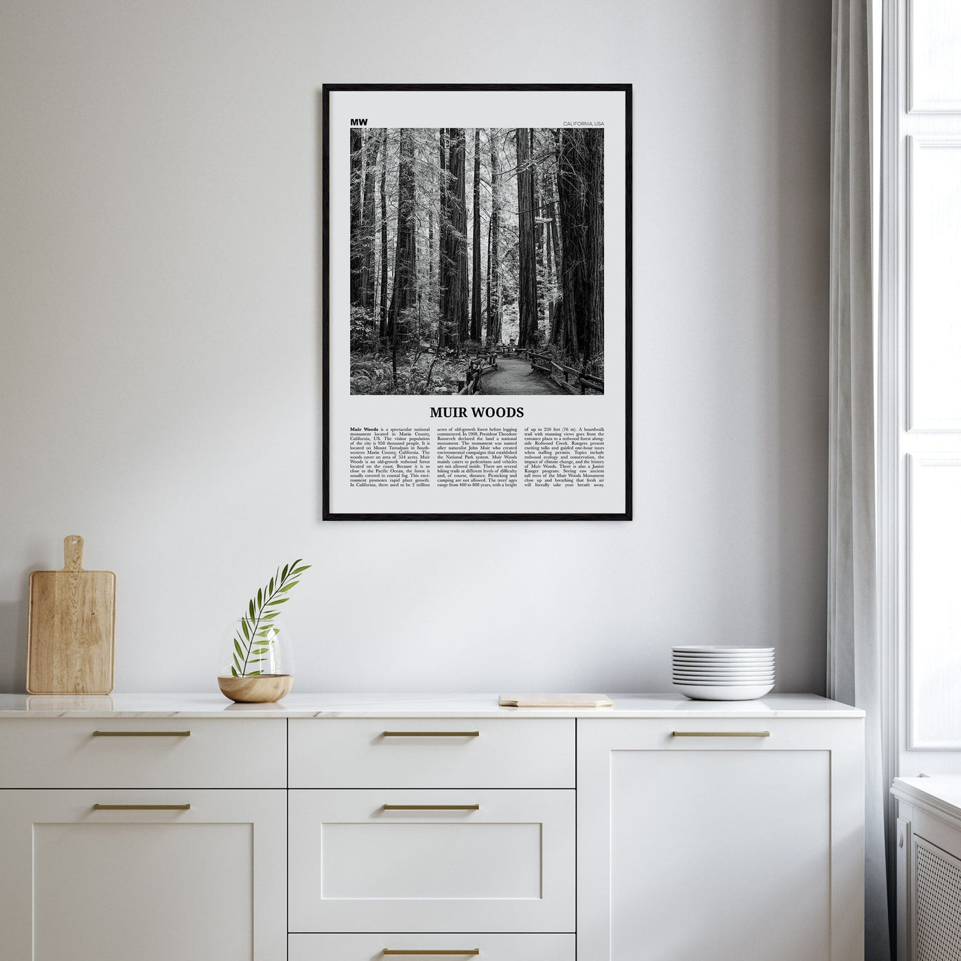 Muir Woods National Monument Poster Nbourhood Travel B&W Poster