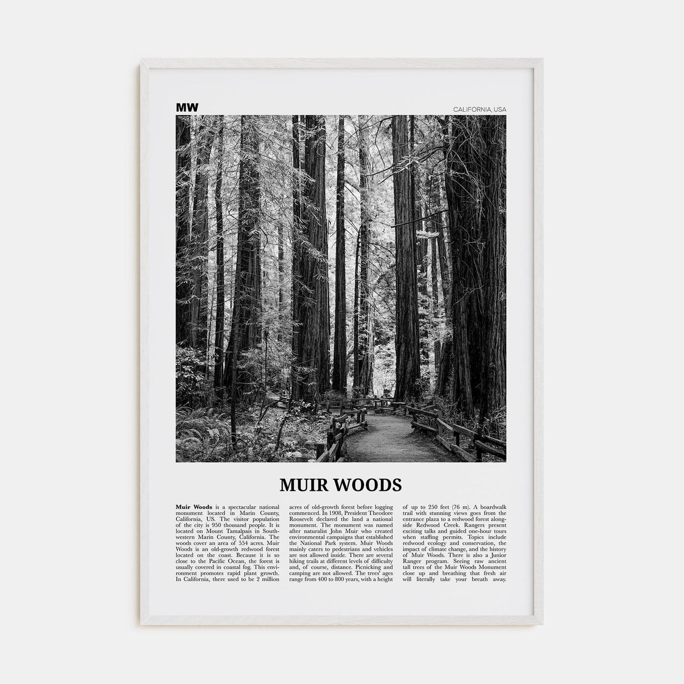 Muir Woods National Monument Poster White Wood / 8x12 in Nbourhood Travel B&W Poster