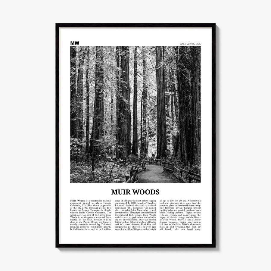 Muir Woods National Monument Newspaper Poster, framed poster mockup
