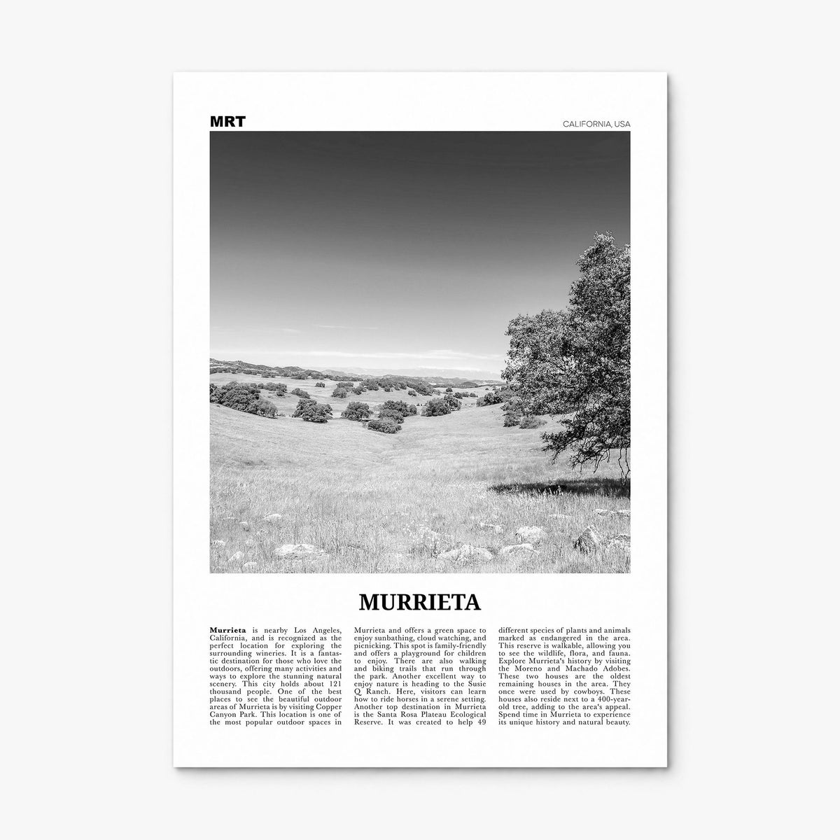Murrieta Newspaper No 1 Poster, print only (unframed)