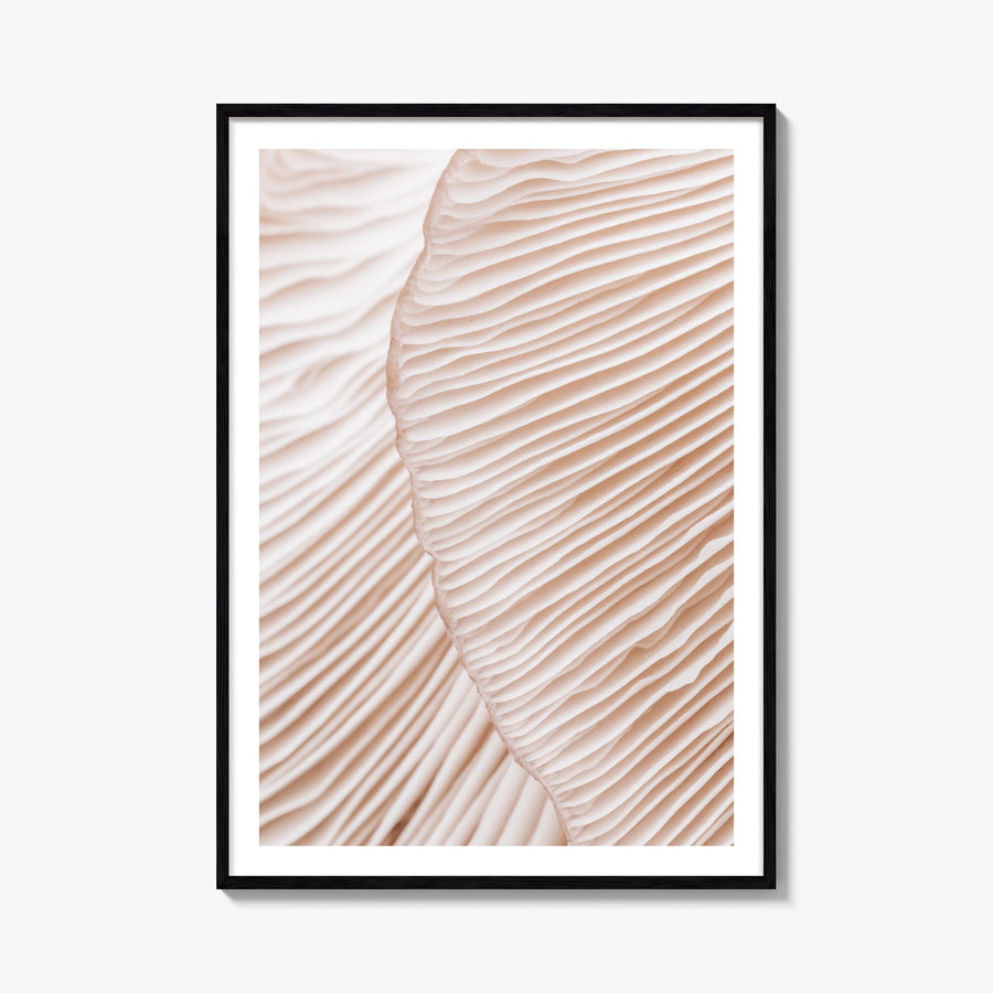 Mushroom Closeup colorful photo poster – vertical wall art, unframed print shown in interior mockup