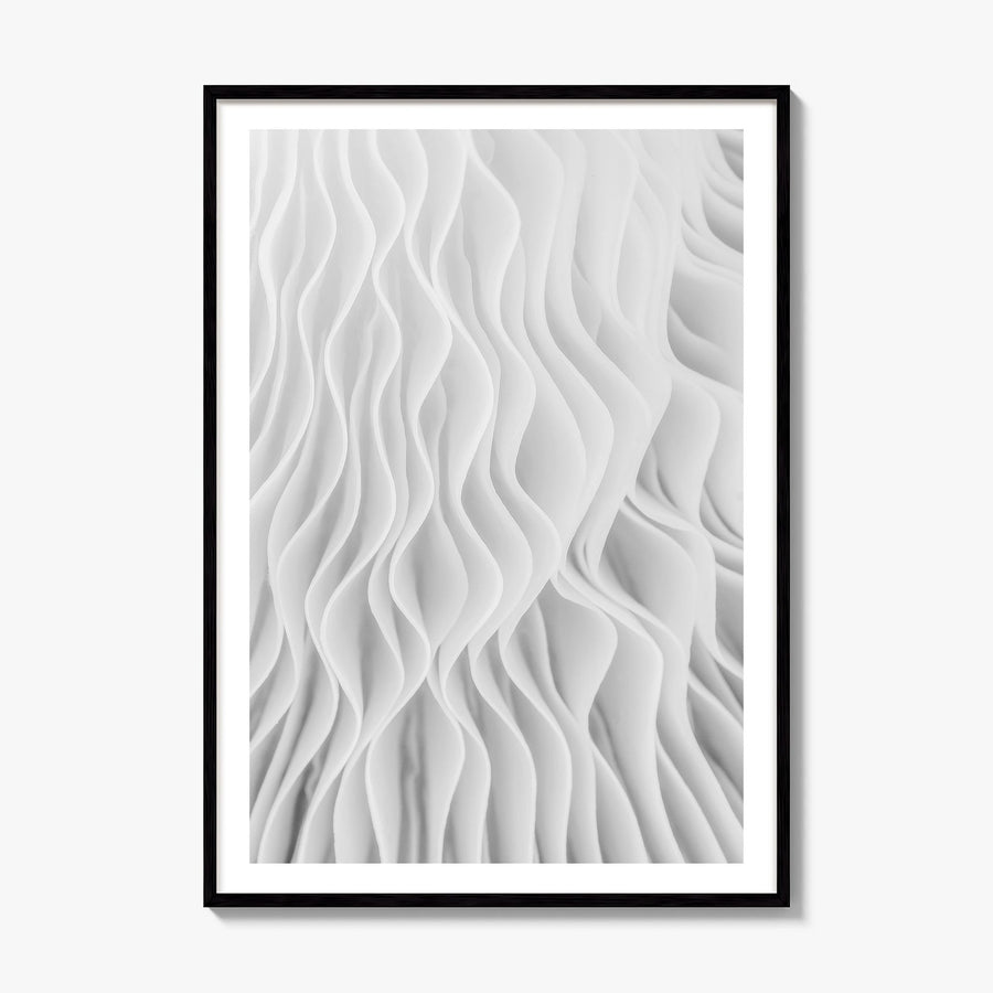 Mushroom Closeup Photo No 1 Poster, framed poster mockup, white border