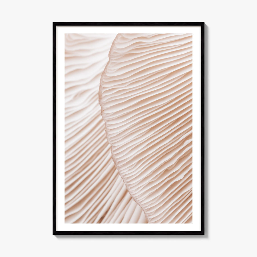 Mushroom Closeup Photo Poster, framed poster mockup, white border