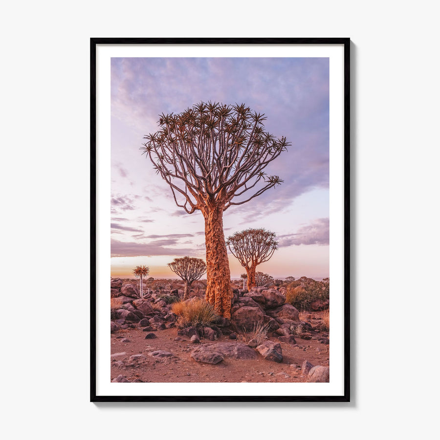 Namibia Photo Poster, framed poster mockup, white border