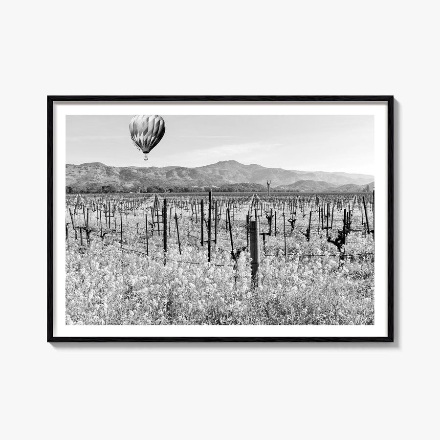 Napa Valley black & white photo poster of California, USA – horizontal wall art, unframed print shown in interior mockup