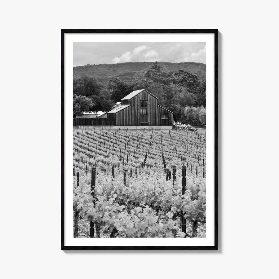 Napa Valley black & white photo poster of California, USA – vertical wall art, unframed print shown in interior mockup