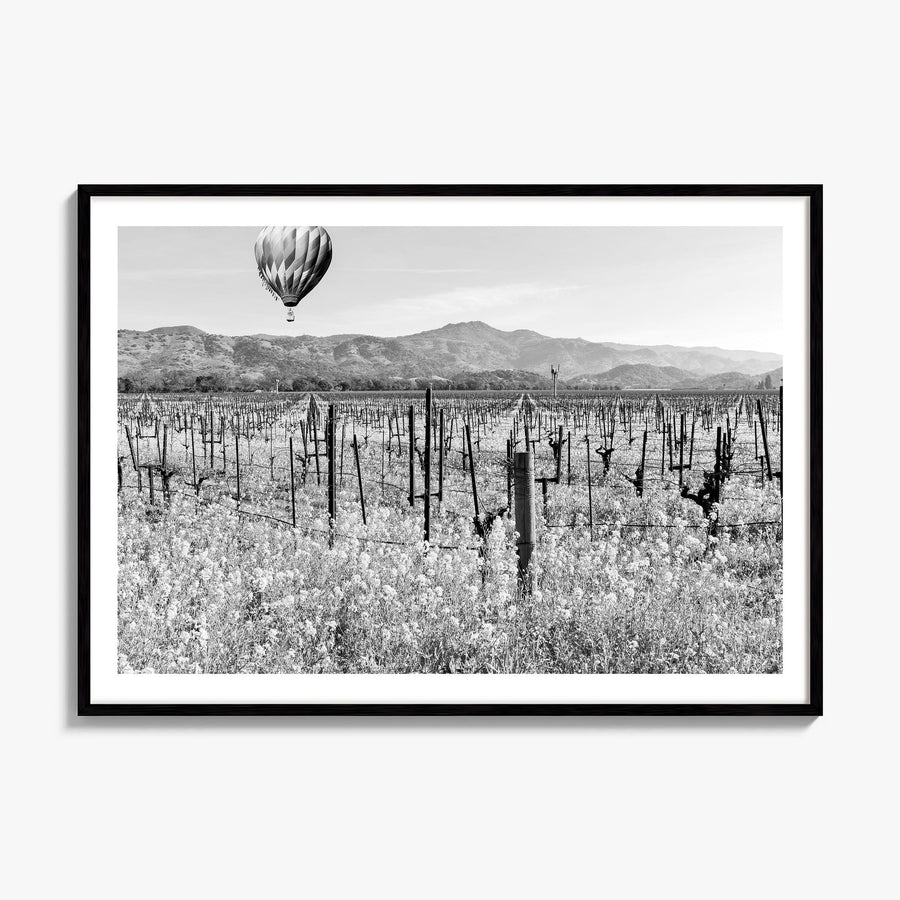 Napa Valley Photo Poster, framed poster mockup, white border