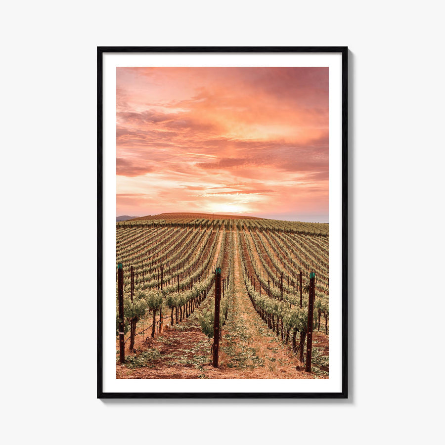 Napa Valley no. 1 colorful photo poster of California, USA – vertical wall art, unframed print shown in interior mockup