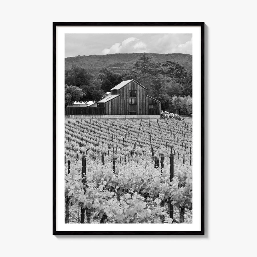 Napa Valley Photo Poster, framed poster mockup, white border