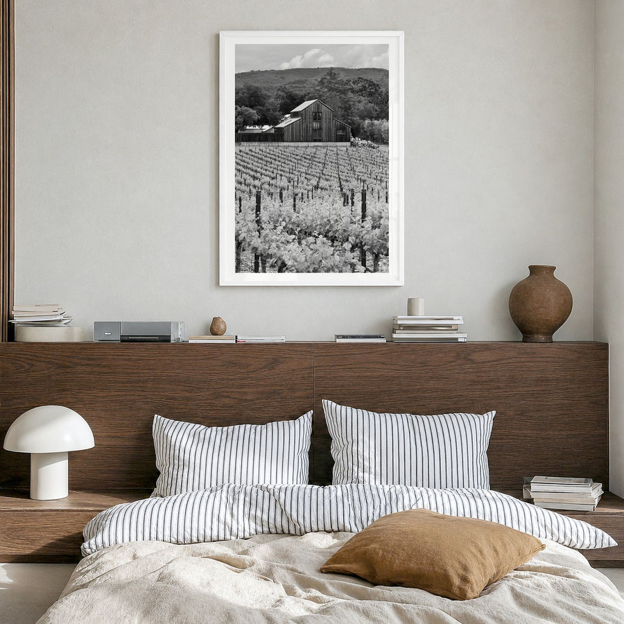 Napa Valley Photo Poster in a white wood frame, hanging in a bedroom, white border
