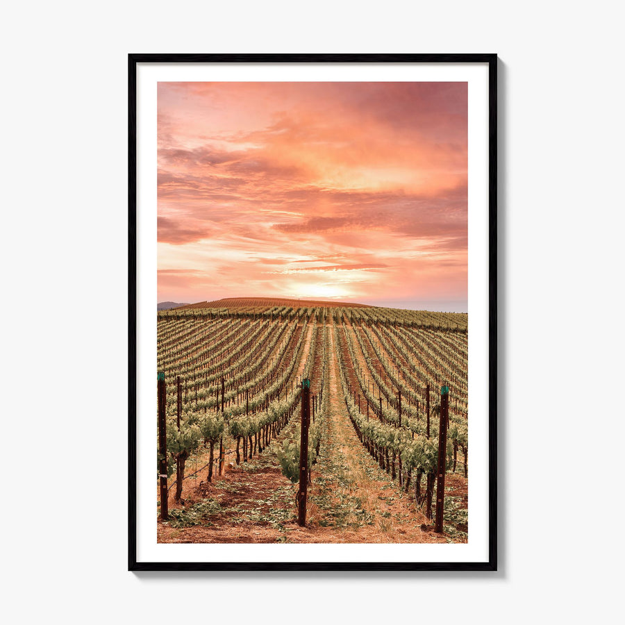 Napa Valley Photo No 1 Poster, framed poster mockup, white border