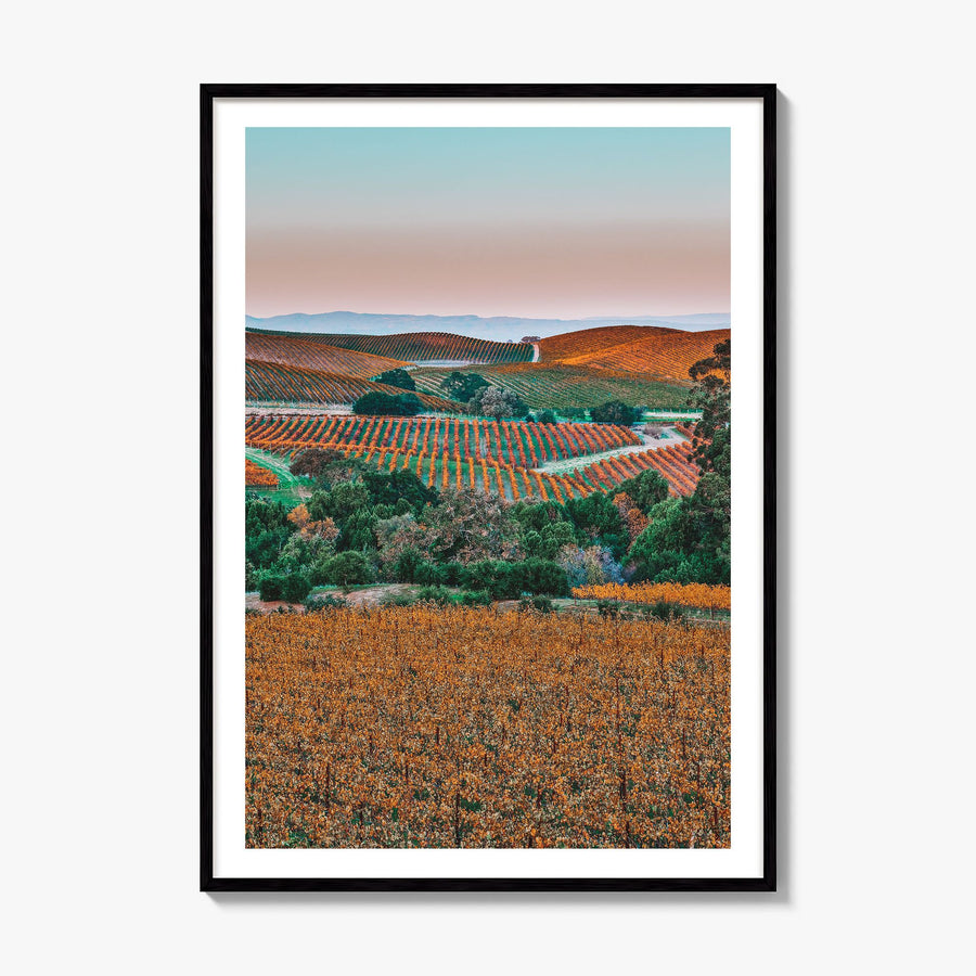 Napa Valley Photo No 2 Poster, framed poster mockup, white border
