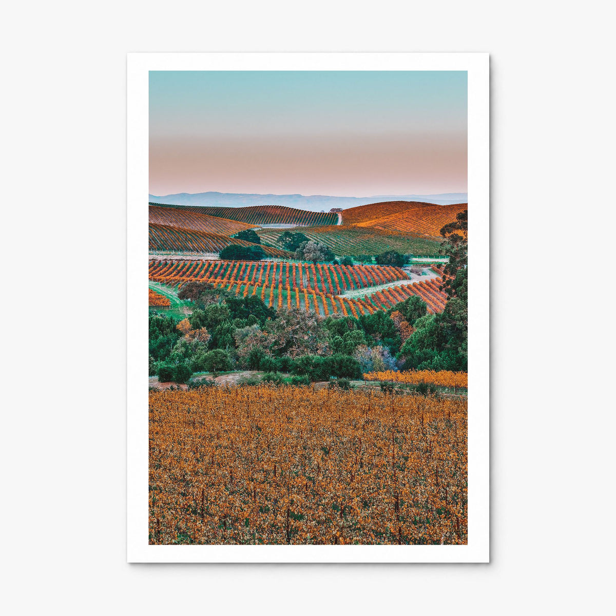 Napa Valley Photo No 2 Poster, print only (unframed), white border