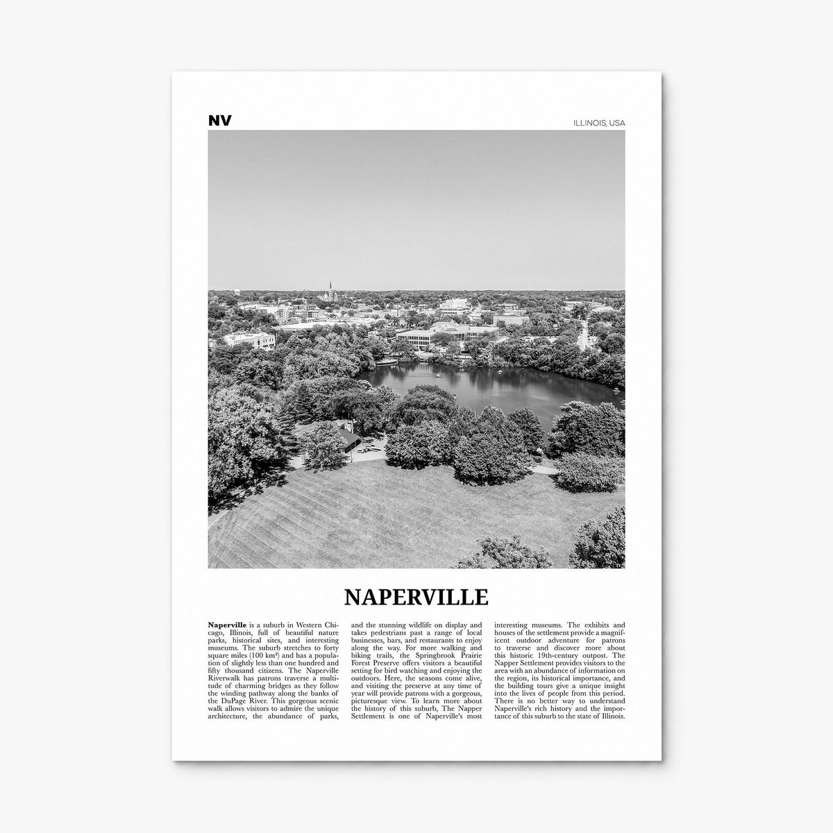 Naperville Newspaper Poster, print only (unframed)