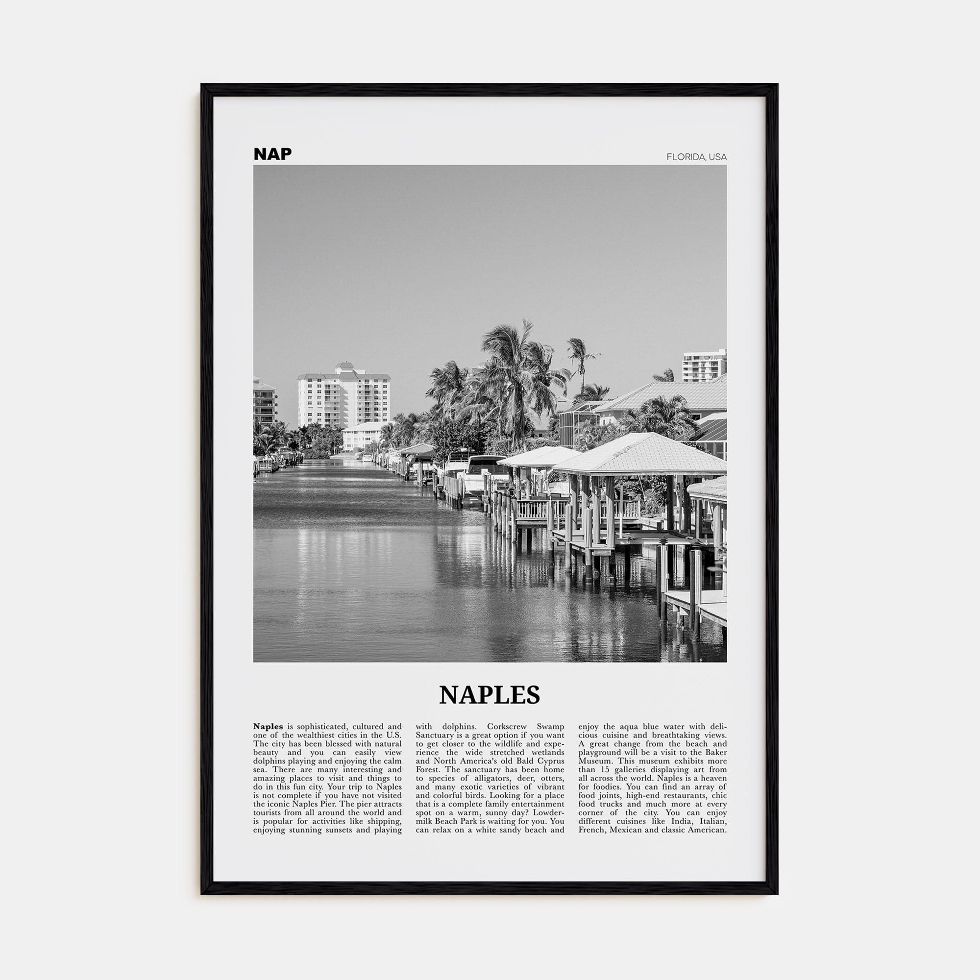 Naples, Florida Poster Black Wood / 8x12 in Nbourhood Travel B&W Poster