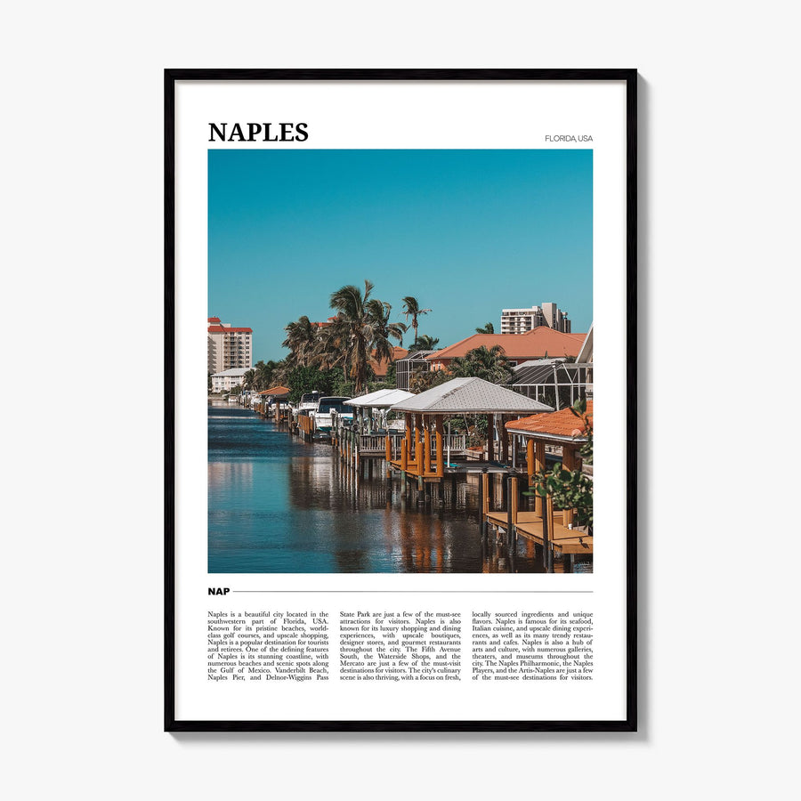 Naples, Florida Travel No 2 Poster, framed poster mockup