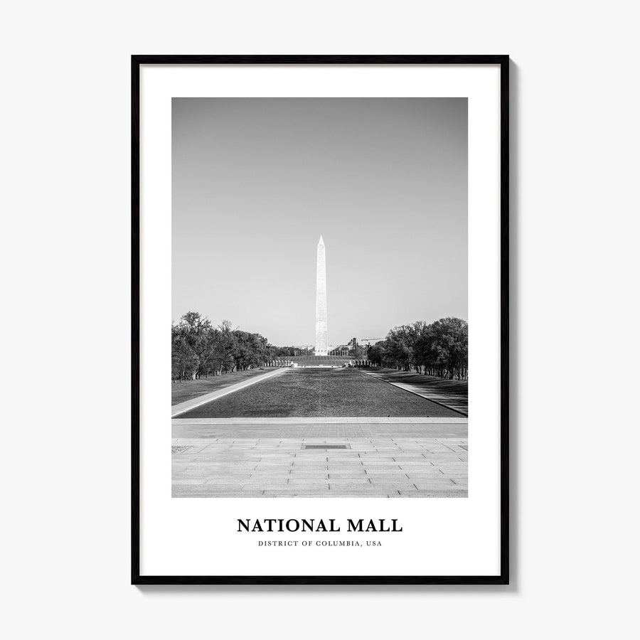 National Mall Classic Poster, framed poster mockup