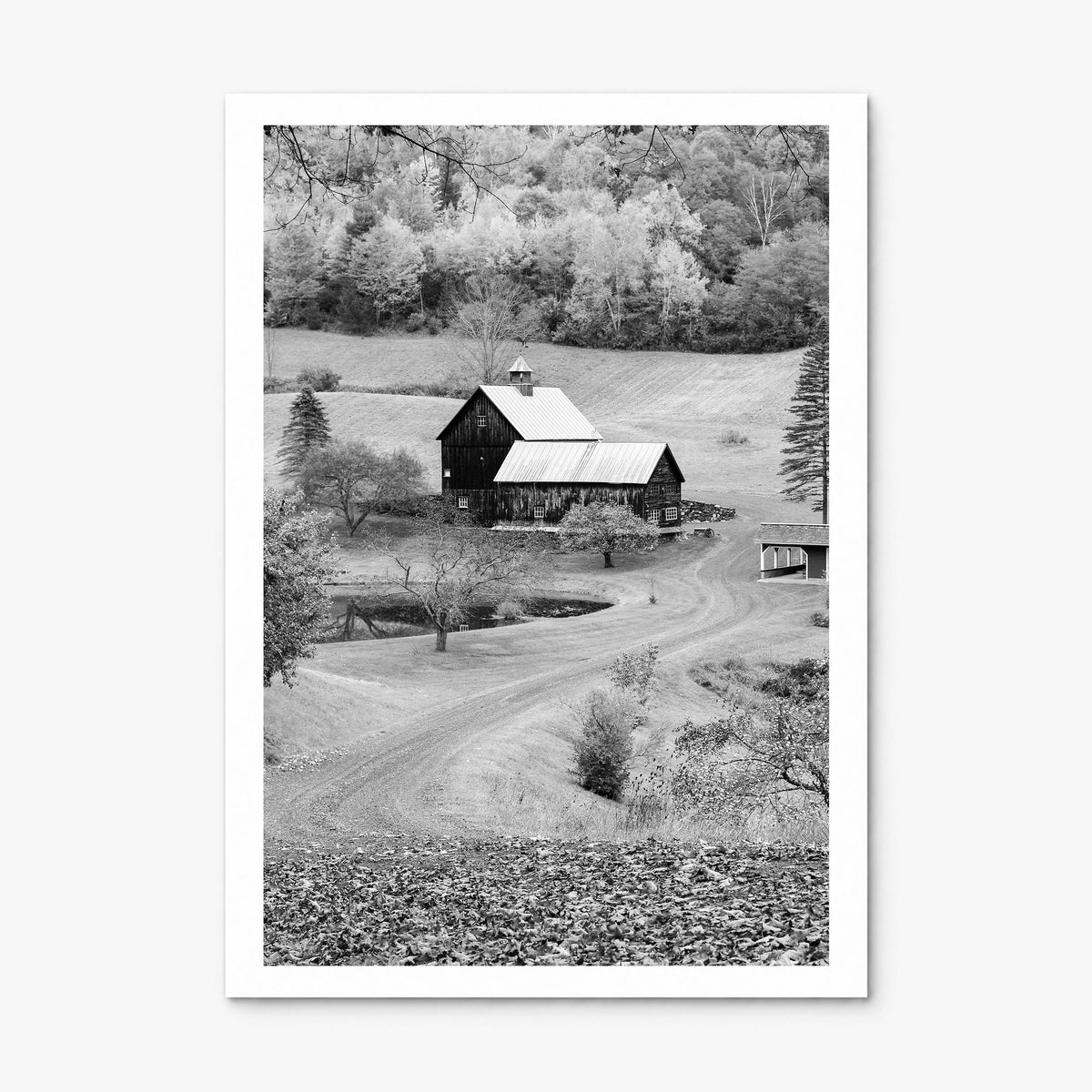 New England Photo Poster, print only (unframed), white border